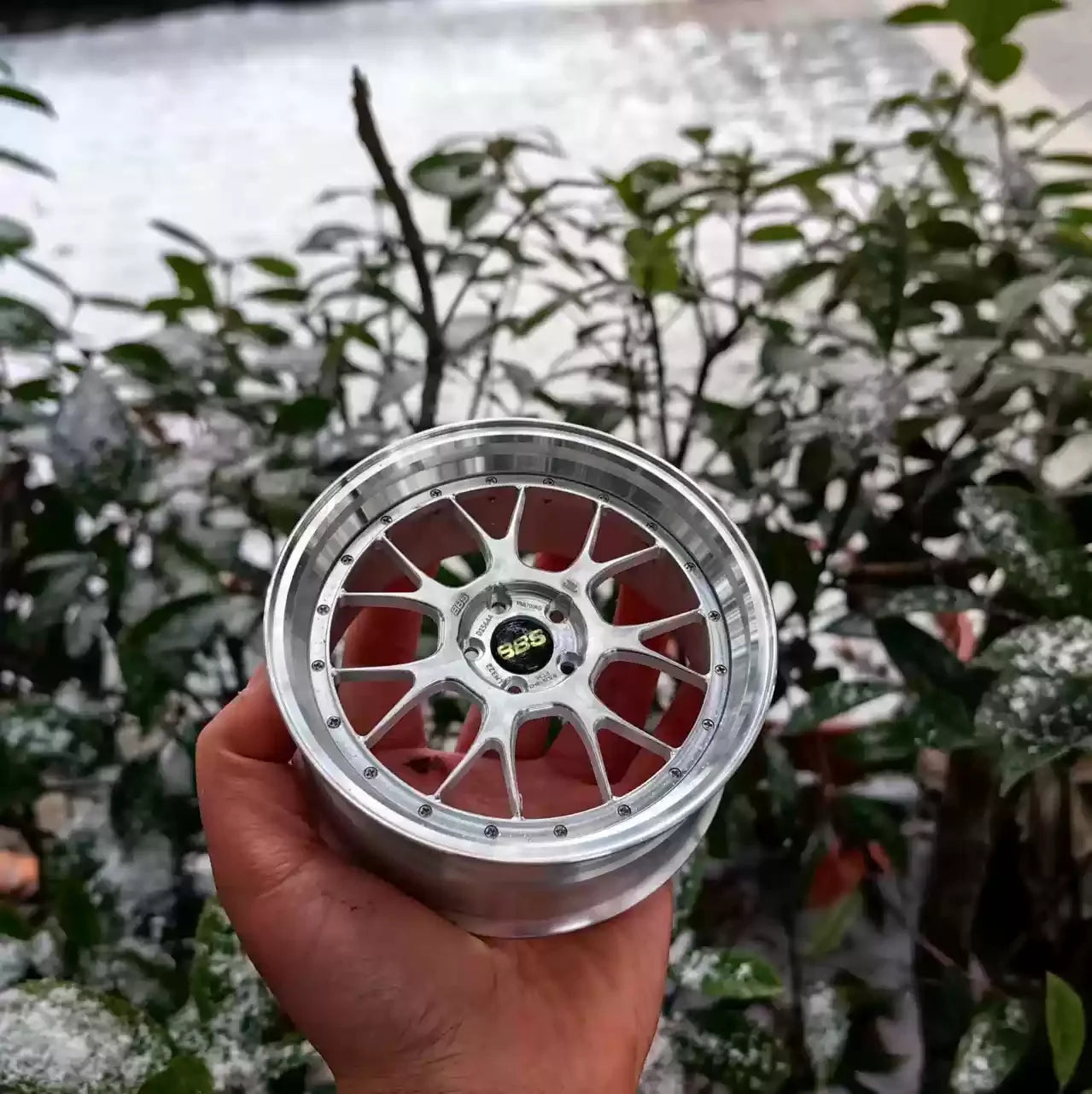 BBS RAYS FORGED Rim Display