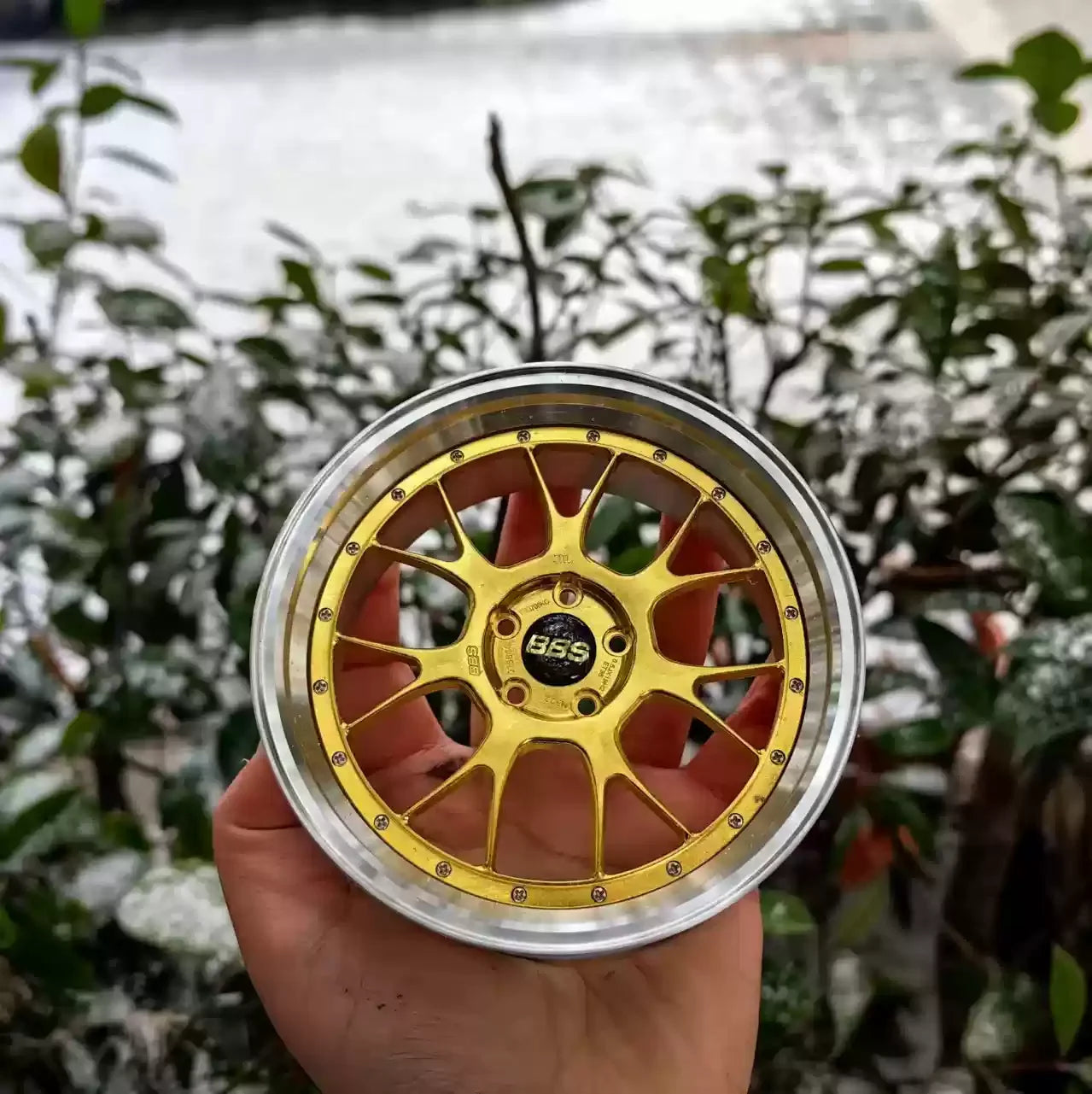 BBS RAYS FORGED Rim Display